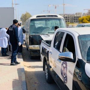 90509099-2741014359344941-3996612475045806080-n