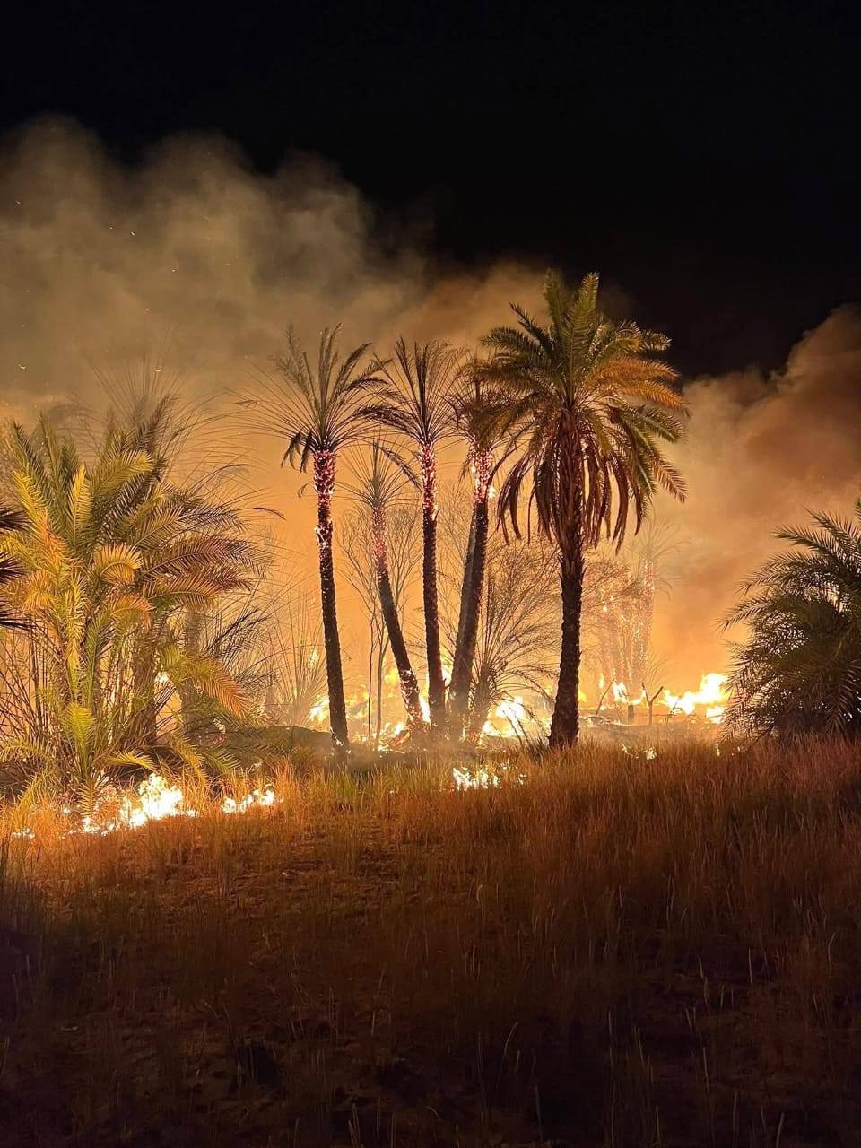 غات تواجه حرائق مزارع متكررة.. السوقي: بعضها قد تكون متعمدة والتحقيقات مستمرة